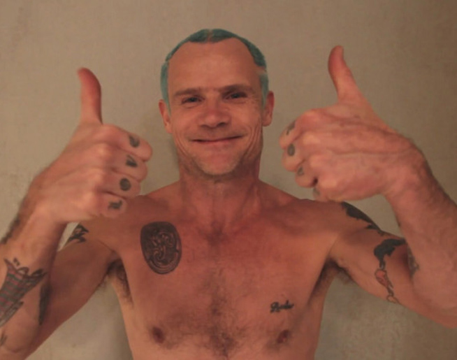 flea-654